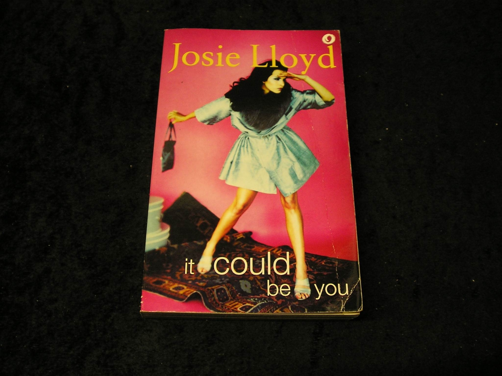 It Could Be You by Josie Lloyd