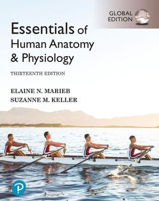 Essentials of Human Anatomy & Physiology, Global Edition 13th Edition by Elaine