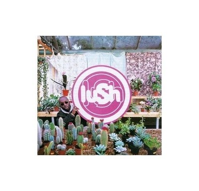 LUSH : LOVE LIFE (CD) DISC + CVR ART - NO CASE - VG