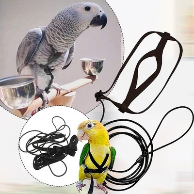 Parrot Bird Harness Verstellbare Leine für Flugbegrenzung und Training