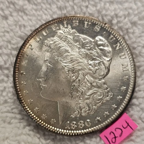 VIDEO 👀🔥GORGEOUS PL GEM BU 🔥1880-S Morgan Silver Dollar Cameo Frost Toning 24