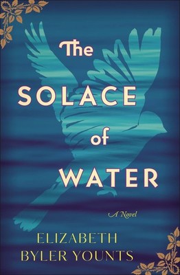 The Solace of Water: A moving, standalone historical novel about forgiveness...