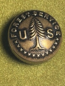 Vintage Antique US Forest Service Pin