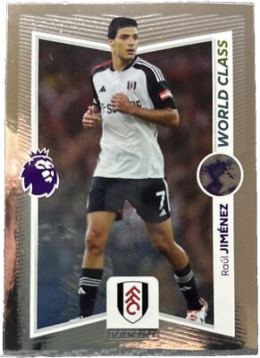 Panini Premier League 2024 - # 324 - RAUL JIMÉNEZ - Weltklasse