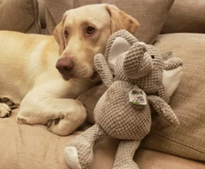 GoDog Checkers Large Elephant Chew Guard Squeaker Plush Dog Toy 770962