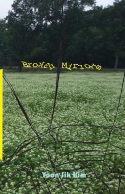 Broken Mirrors, Paperback by Kim, Yoon Sik, Brand New, Free shipping in the US