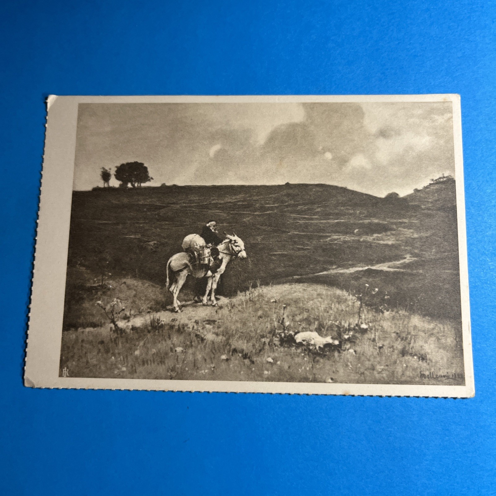 RITORNO DALLA QUESTUA DELLEANI NON VIAGGIATA - CARTOLINA - VINTAGE POSTCARD