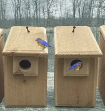 2 Brand New Cedar Bluebird Houses, Natural or Scorched, Many to Choose From