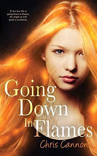 Going Down in Flames (A Going Down in Flames Novel) By Chris Can - Picture 1 of 1