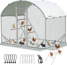 Metal Chicken Coop Run with Climbing Ladder Walk-in Outdoor Poultry Cage