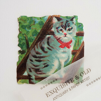 um 1900 Katze Tier Glanzbild Prägedruck Ephemera Deko Geschenk Vintage Papier