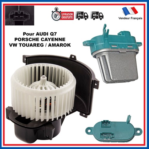 Support De Labrador Retriever De Chien De Couleur De Chocolat D'isolement Sur Le Fond Blanc Front View 145313703