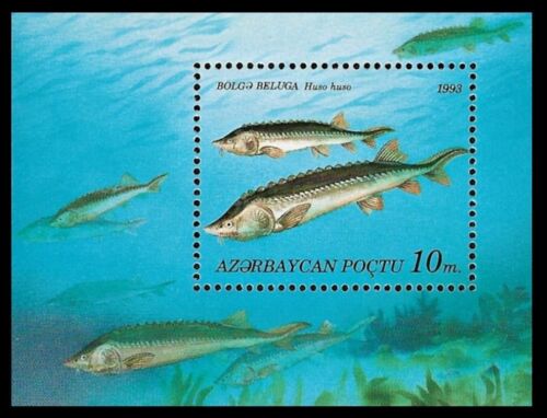 Azerbaijan 1993 * Fishes of the Caspian Sea * FAUNA * Block * MNH - Picture 1 of 2