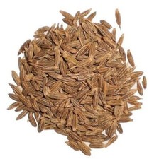 Cumin Seeds-Multi Pack-Packed Fresh in USA-US Seller Multi Discount