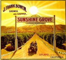 Upland Sunshine Grove Orange Citrus Fruit Crate Label Art Print
