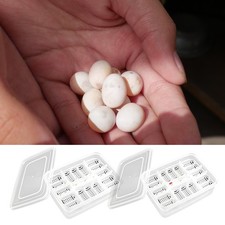 16 Holes Reptile Egg Incubation Tray Gecko Lizard Snake Eggs Incubation Tool