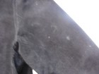 Bild 5 von 6