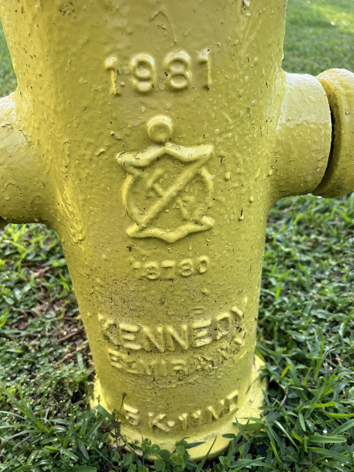 Vintage Cast Iron Fire Hydrant —2 Of Them eBay