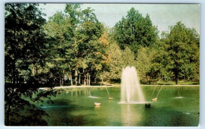Peterhof Palace - Fountain of the Sandy Pool - St. Petersburg RUSSIA Postcard