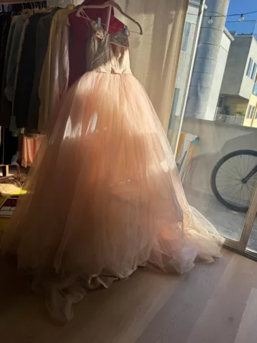 Vera Wang multi blush tones Strapless Bridal Ballgown size 4