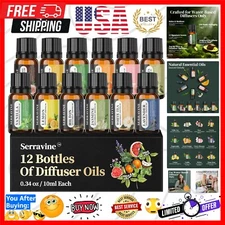 12 Popular Aromatherapy Diffuser Oils - Natural Scents Gift Set for All Seasons