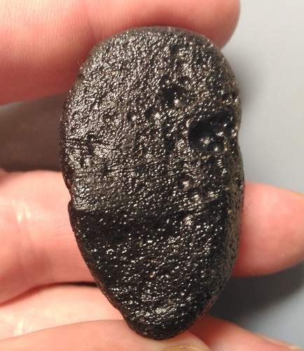 11 MINERALES SURTIDOS: mineral de oro, coral fósil, ámbar birmita con insectos, tectitas - Imagen 7 de 8