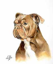 Original Oil Dog Portrait Painting BULLMASTIFF Artist Signed Art Bulldog Boxer