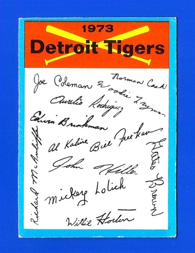1973 OPC O-Pee-Chee BLUE TEAM CHECKLIST DETROIT TIGERS UNMARKED ~ RARE (SB2)