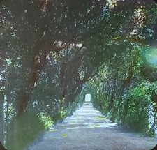 Pope s Private Garden, Vatican, Rome, Italy, c1900 s Magic Lantern Glass Slide