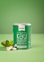 Xylit-Kaugummis Spearmint Dose, 100G (54,90 Eur/Kg)