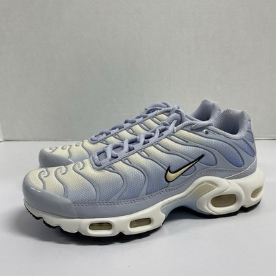 Nike Air Max Plus Daybreak DZ3670 004 Size 7.5 Women Blue White Running Y2K Shoe