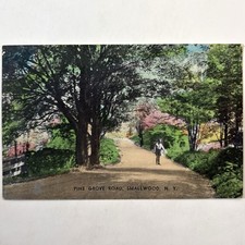 Pine Grove Road Smallwood NY Vintage Postcard 1930’s New York Tinted Scarce View