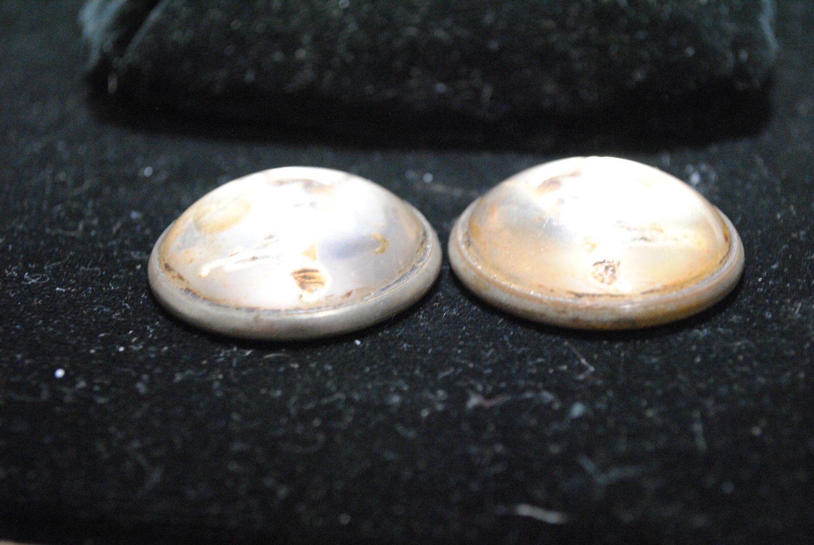 Antique Pair of Reverse Painted Hunting Dogs Glass Horse Bridle Rosettes