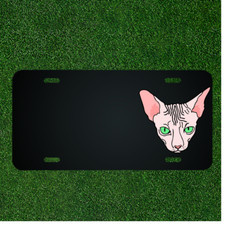 Cat License Plate Custom Text Car Plate Unique Gift