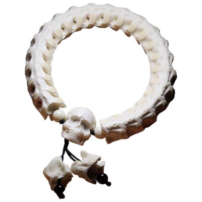 Natural Genuine Snake Spine Skull Bracelet Skeleton Vertebrata