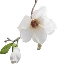 White Artificial Magnolia Fake Silk Flower Single Floral Be Used for Home Decor