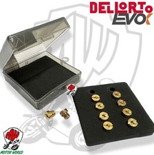 Kit 10 Getti 6Mm Tipo Grosso Massimo Dell'Orto 75-98 Carburatori PHBH