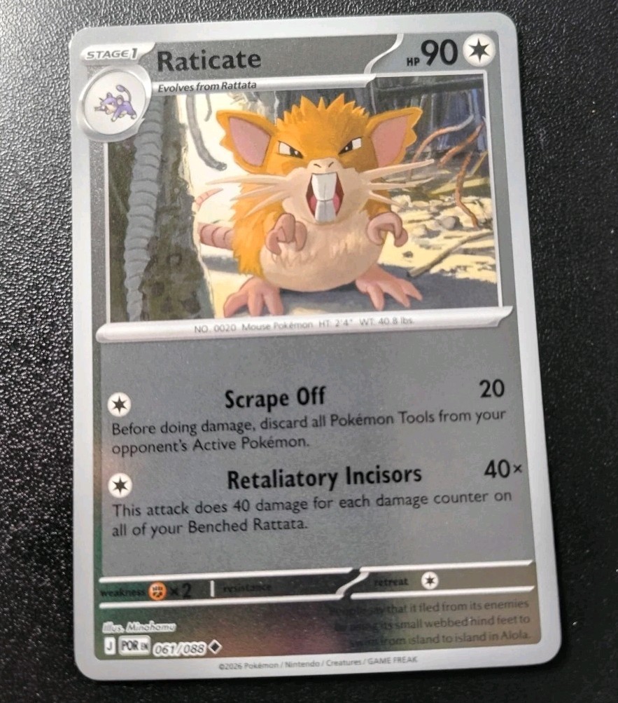 Pokemon Perfect Order Raticate Reverse Holo Uncommon Card 061/088 NM