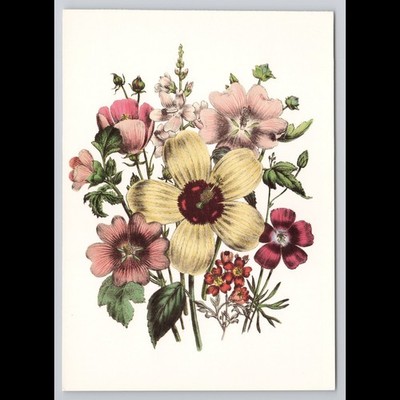 Vintage Floral Postcard 1993 Unposted Flowers Garden Botanical Scenic View