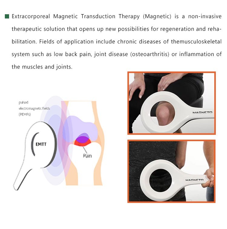 Emtt Physio Pain Relief Magneto Therapy Pemf Magnetic Therapy Shock Wave Machin