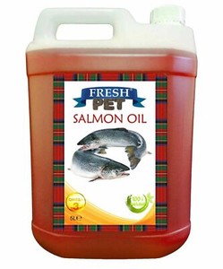 fish oil for ferrets