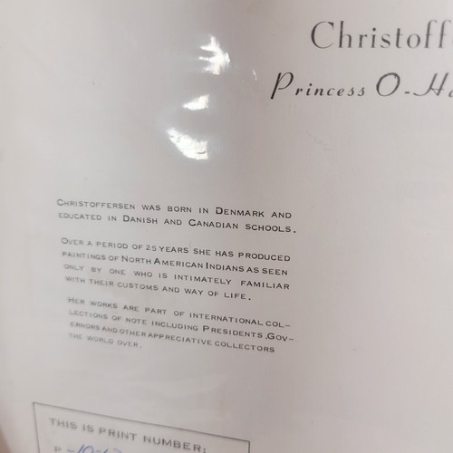 Estampados vintage de Gerda Christoffersen Paoose niños ~ JUEGO DE 2 norteamericanos - Imagen 13 de 17