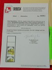 Imagen 2 de 7