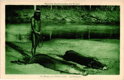 Brazil, Un Poisson de l'Araguaya, Le Pirarucou, Indian, Type, Vintage Pc. (159)