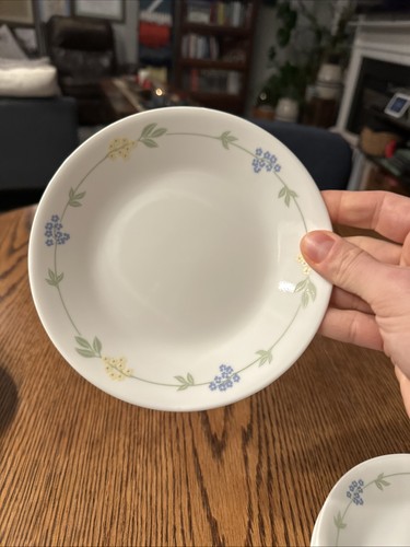 Corelle Secret Garden Bread And Butter Plates 6.75” Sold Individually - Picture 14 of 24