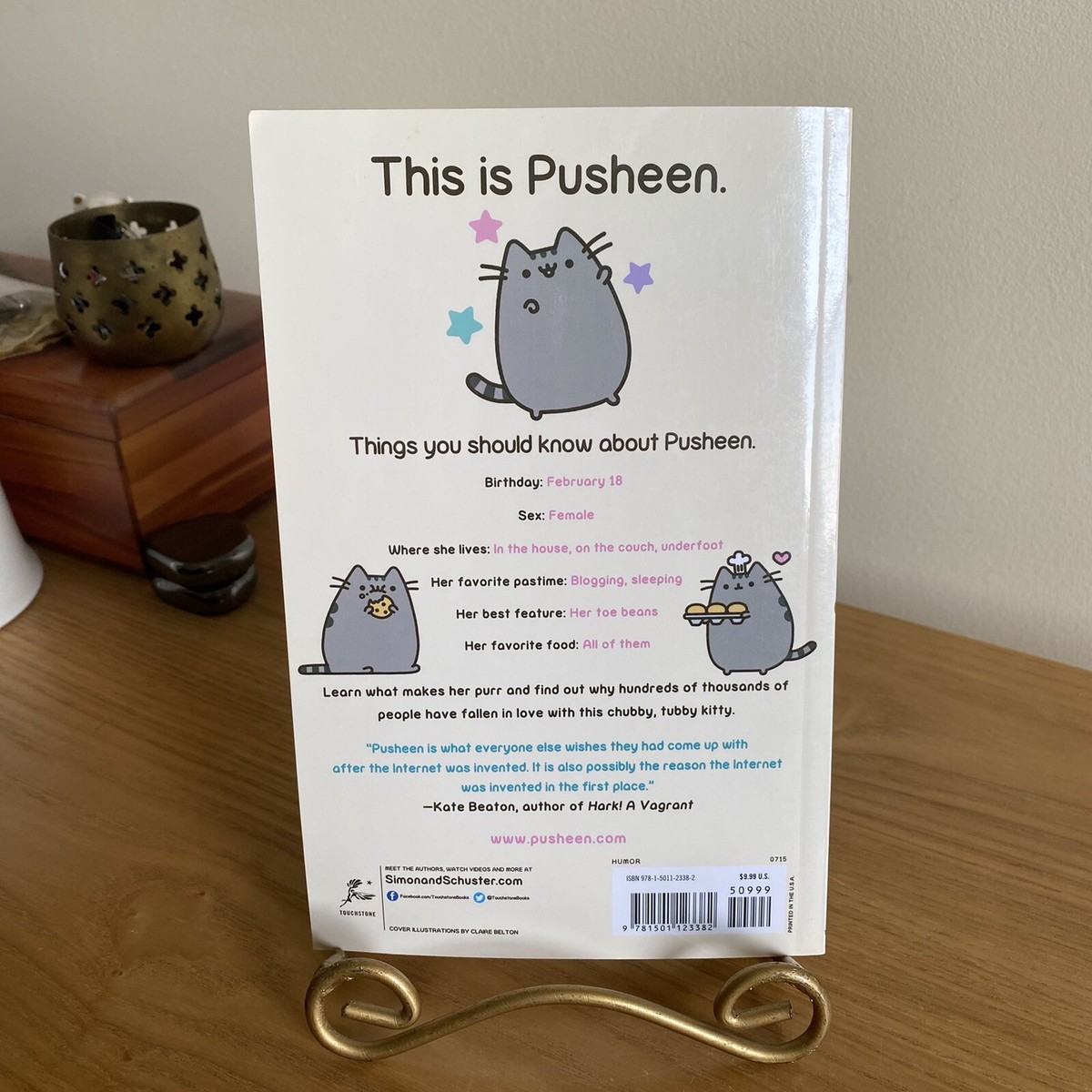 Pusheen Birthday Card