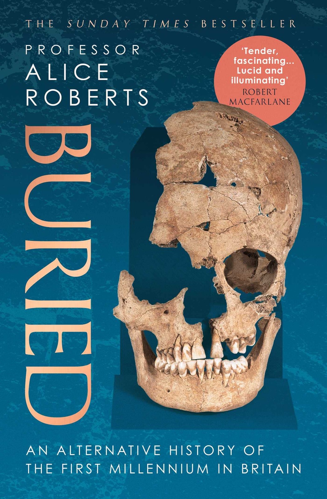 Buried by Alice Roberts - - Image 8