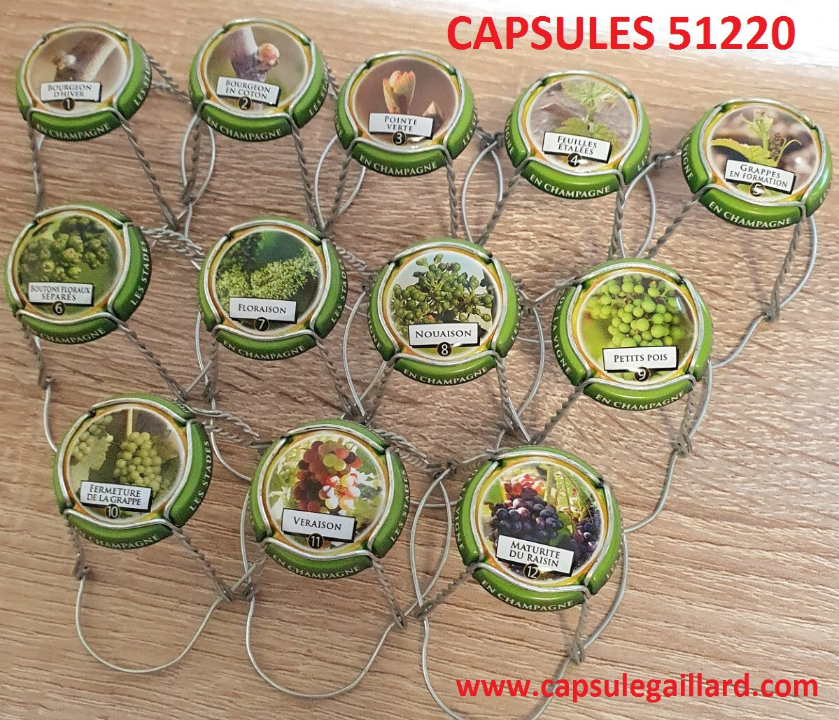 Série de 12 Capsules de champagne GENERIQUE (Stades phénologiques de la