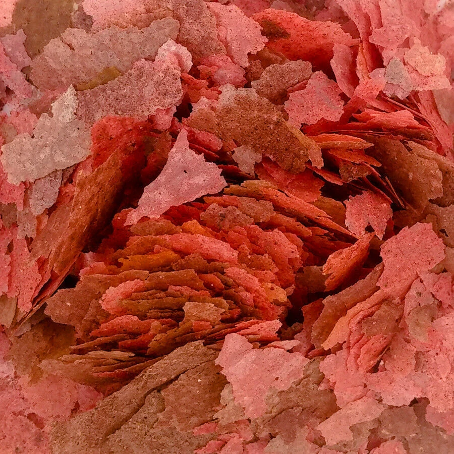 FKC Tropical & Cichlid Colour Enhancing Aquarium Flakes Fish Food Flake Feed - image 2 of 4