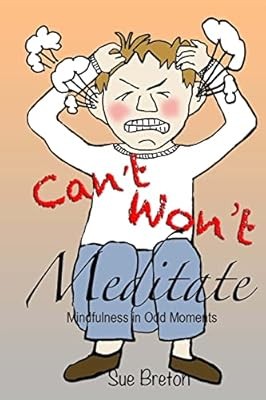 Cant Meditate, Wont Meditate: Mindfulness in Odd Moments, Breton, Sue, Collectib